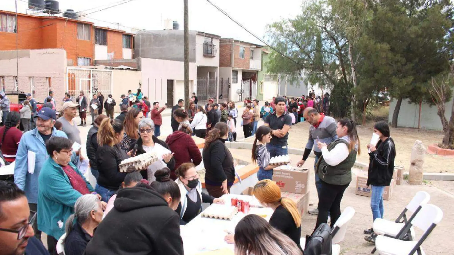 canasta solidaria